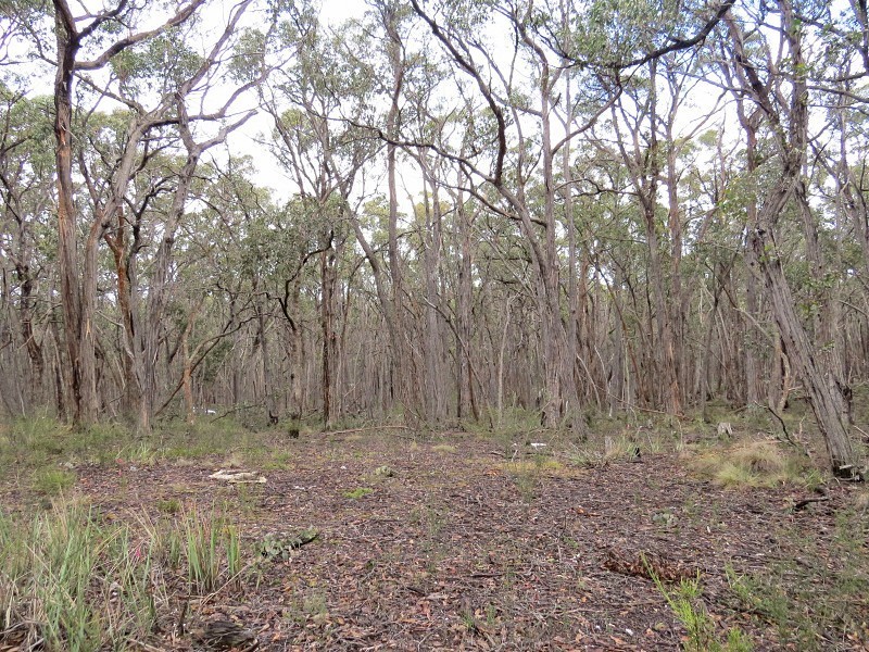 Lot 1,  Nidschelms Lane, Durham Lead VIC 3352