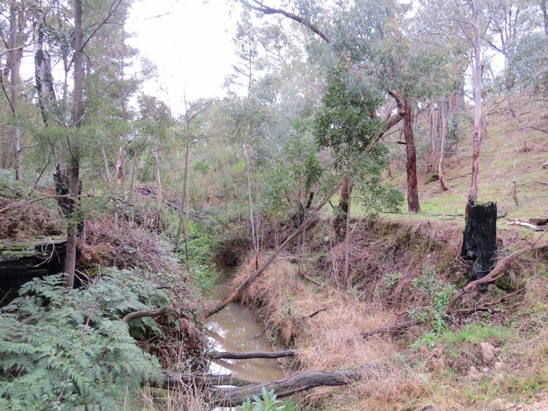 95 Stickland Road, Scarsdale VIC 3351