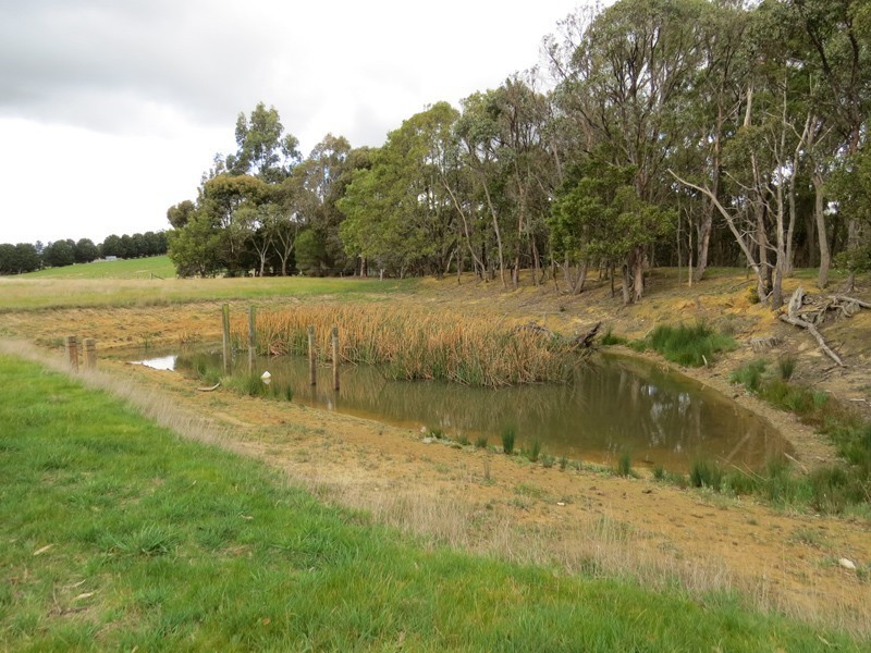 Lot 1, 61 Waddell Road, Smythes Creek VIC 3351