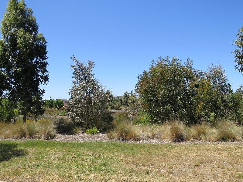 16 Amana Drive, Alfredton VIC 3350