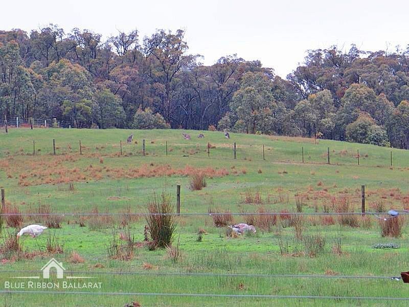 99 Cockatoo Road, Lal Lal VIC 3352