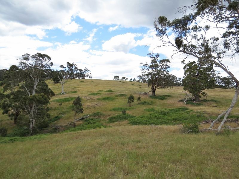 Lot 1,  Ford Street, Glenlyon VIC 3461