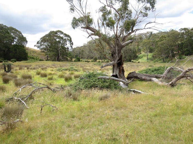Lot 1,  Ford Street, Glenlyon VIC 3461
