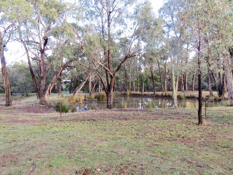 50 Bull In Court, Haddon VIC 3351