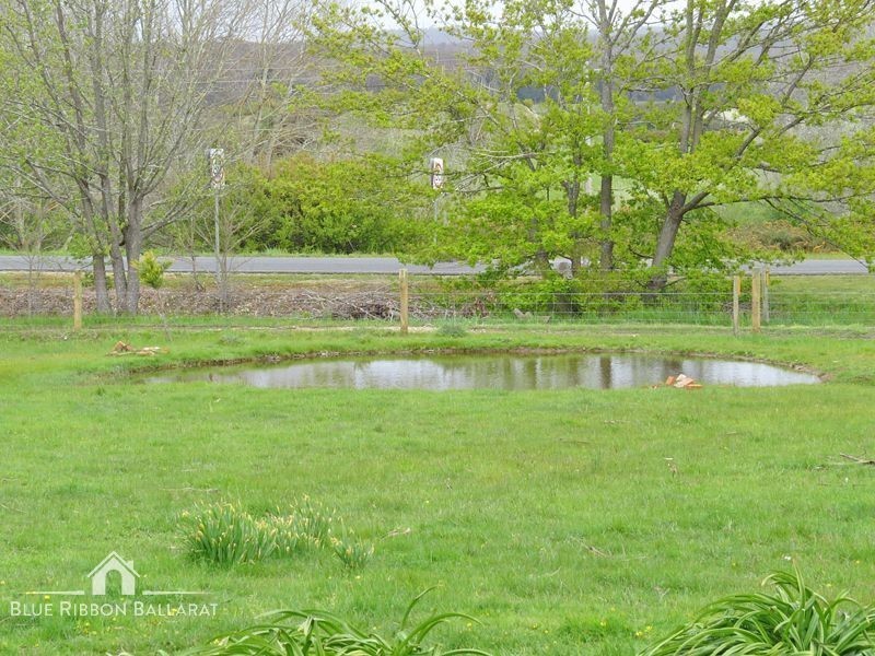 99 Pitfield Scarsdale Road, Scarsdale VIC 3351