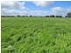 265 Creswick Road, Clunes VIC 3370