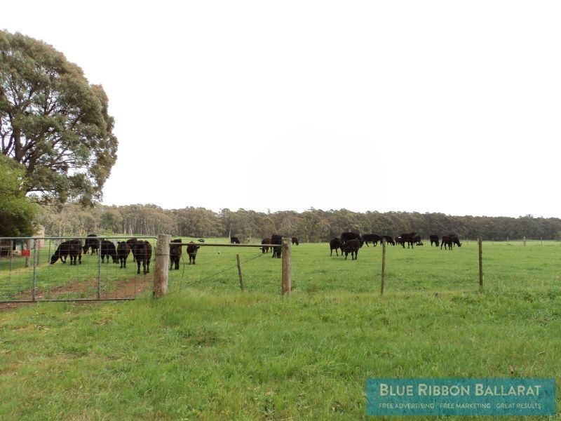 2115 Ballan – Daylesford Road, Leonards Hill VIC 3461