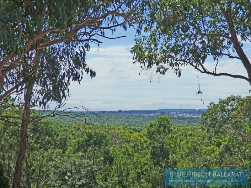 29 McCallums Road, Scarsdale VIC 3351