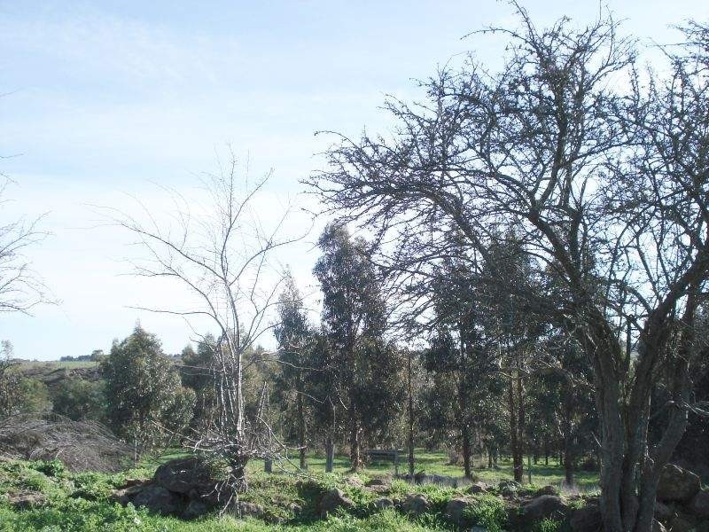 127 Ascot Road, Creswick VIC 3363