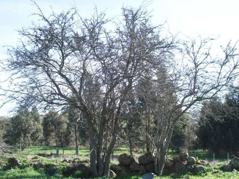 127 Ascot Road, Creswick VIC 3363