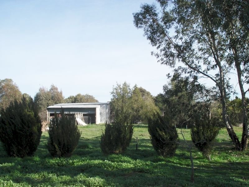 127 Ascot Road, Creswick VIC 3363