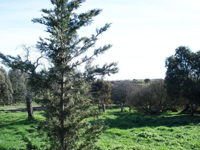 127 Ascot Road, Creswick VIC 3363