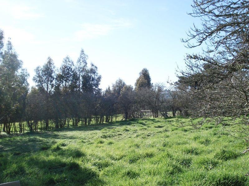 127 Ascot Road, Creswick VIC 3363