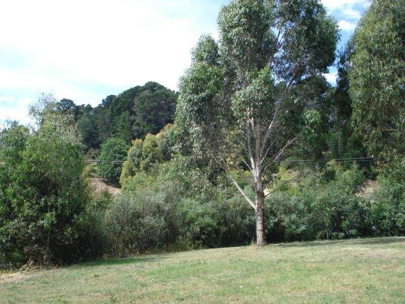 42 Princes Street North, Ballarat VIC 3350