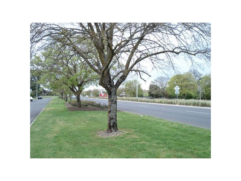 251 Victoria Street, Ballarat VIC 3350