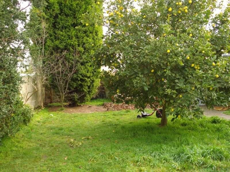 814 Tress Street, Ballarat VIC 3350