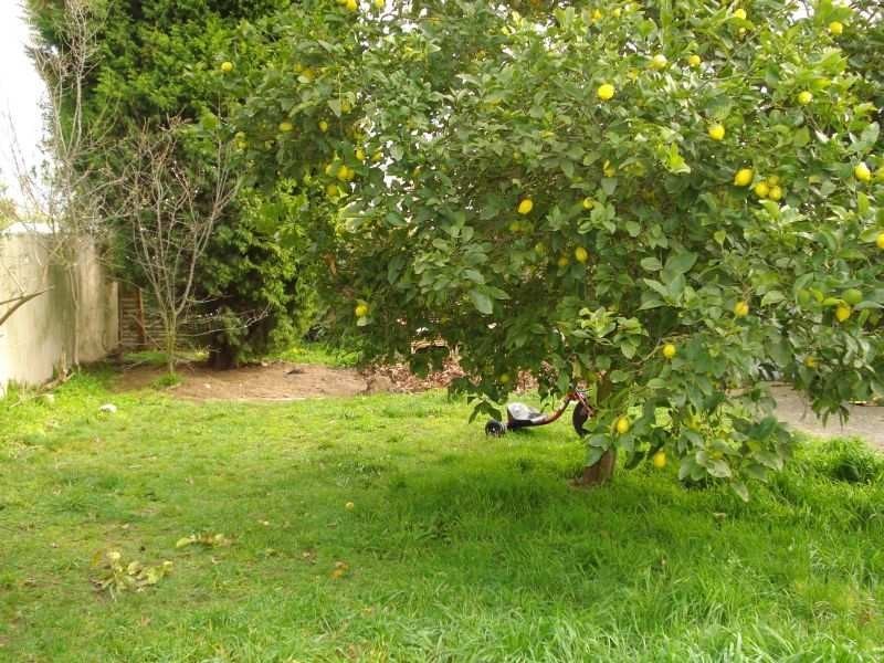 814 Tress Street, Ballarat VIC 3350