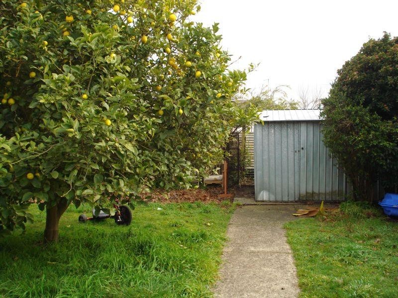 814 Tress Street, Ballarat VIC 3350