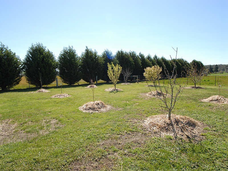 185 Millers Road, Invermay VIC 3352