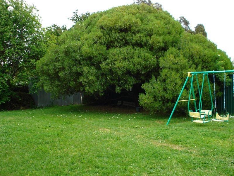 519 Doveton Street North, Ballarat VIC 3350