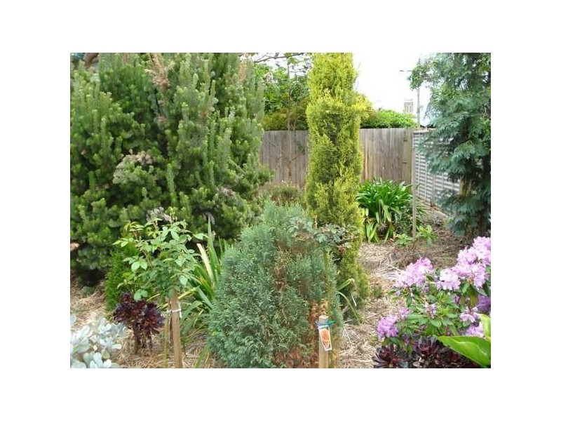 4 Otway Street South, Ballarat VIC 3350