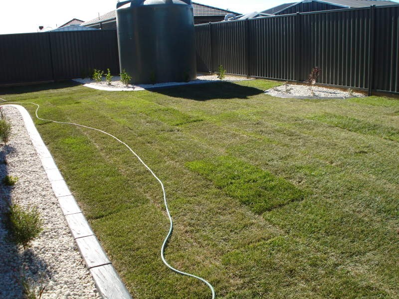 111 Alfredton Drive, Alfredton VIC 3350