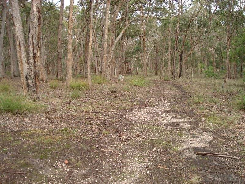 Lot 14,  Miners Hut Road, Haddon VIC 3351