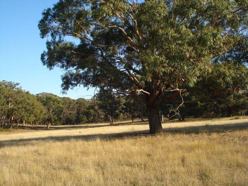 Lot 2, 629 Bells Road, Smythes Creek VIC 3351