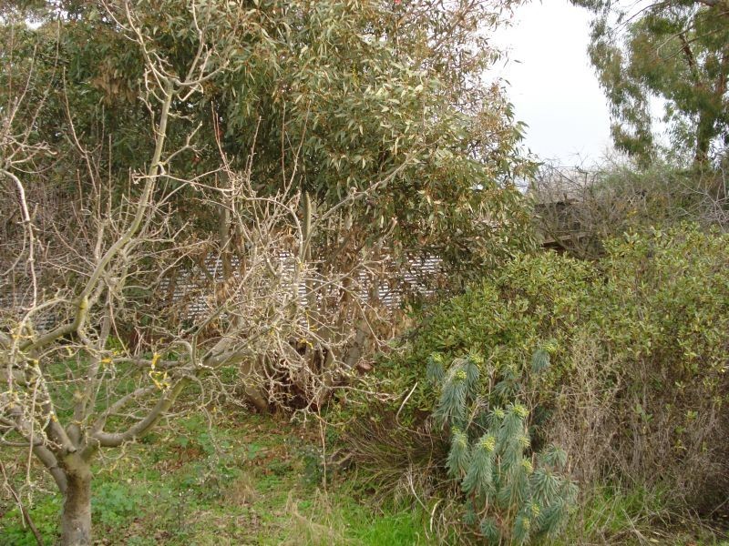 407 South Street, Ballarat VIC 3350