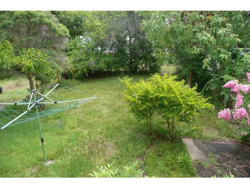 38 Witton Road, Indooroopilly QLD 4068