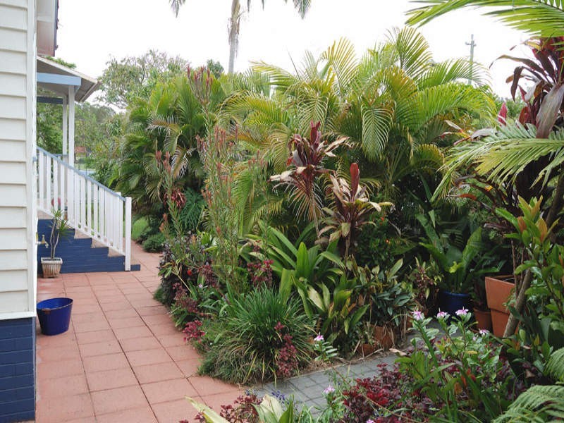 135 Witton Road, Indooroopilly QLD 4068