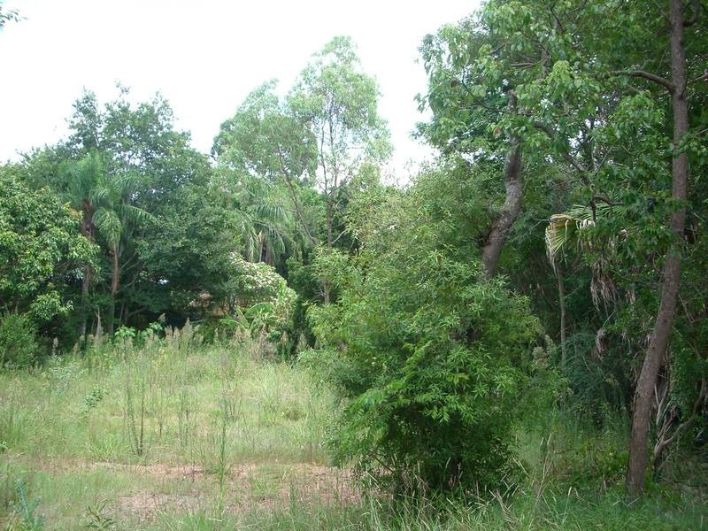 42 Hillsdon Road, Taringa QLD 4068