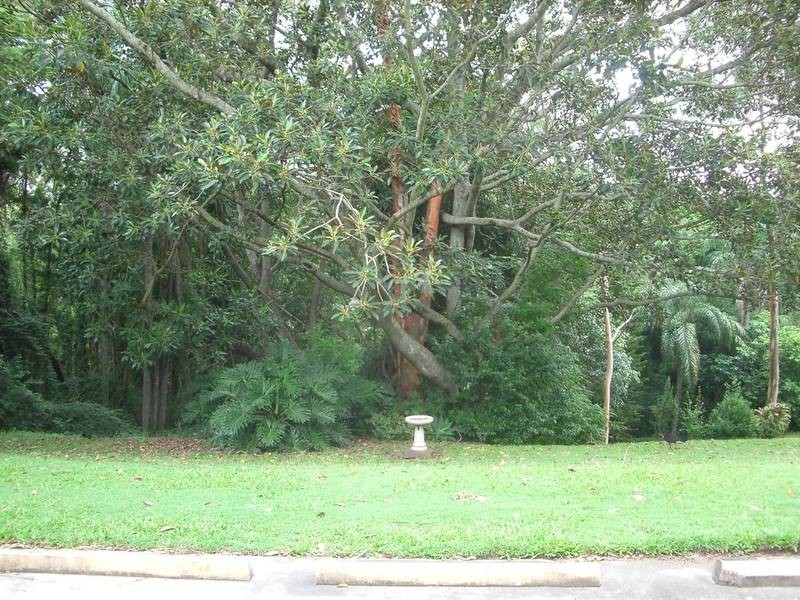 8/104 Station Road, Indooroopilly QLD 4068