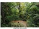 419 Swann Rd, St Lucia QLD 4067