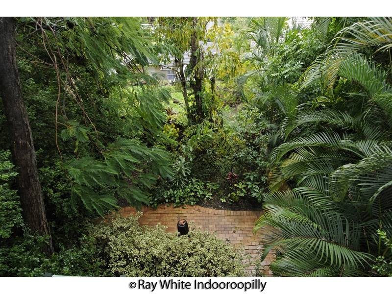 419 Swann Rd, St Lucia QLD 4067