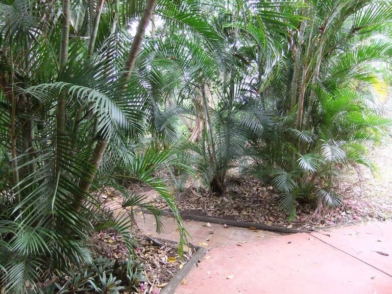 3/140 Central Avenue, Indooroopilly QLD 4068