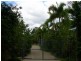 67 Thomas Street, Sherwood QLD 4075
