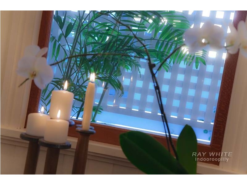 24 Clarence Road, Indooroopilly QLD 4068