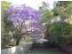 19 Witton Road, Indooroopilly QLD 4068