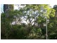 2 Nankin Street, Fig Tree Pocket QLD 4069