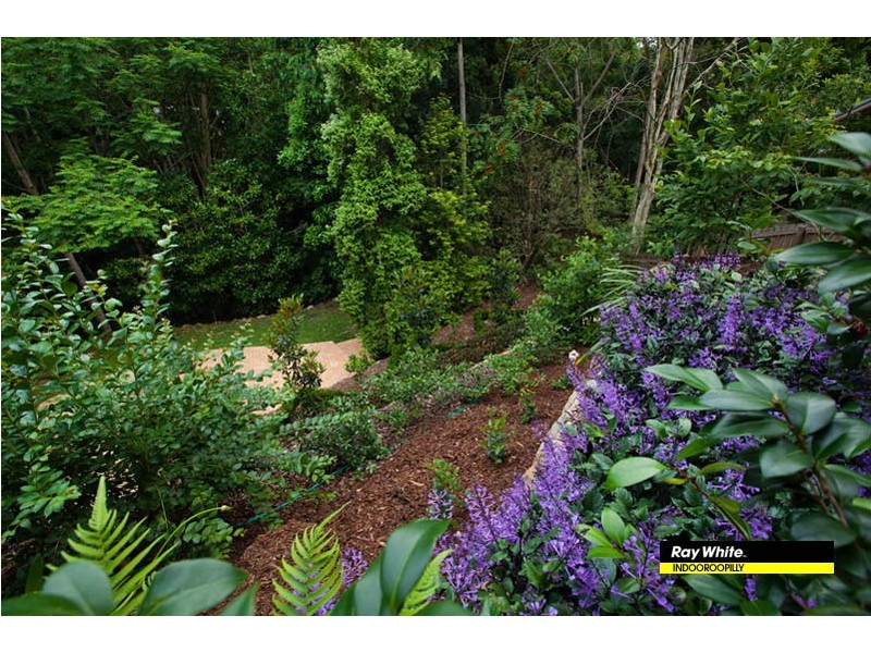 7/43a Goldieslie Road, Indooroopilly QLD 4068