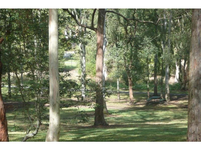 43 Iona Terrace, Taringa QLD 4068