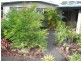 54 Dobell Street, Indooroopilly QLD 4068