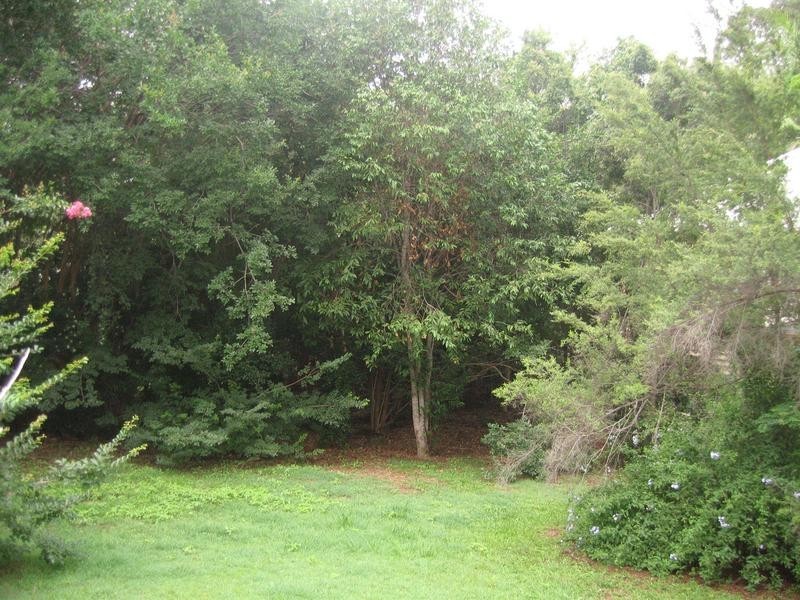 44 Hillsdon Road, Taringa QLD 4068