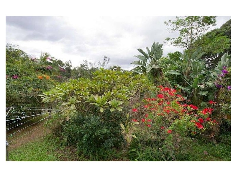 47 Sussex Street, Toowong QLD 4066