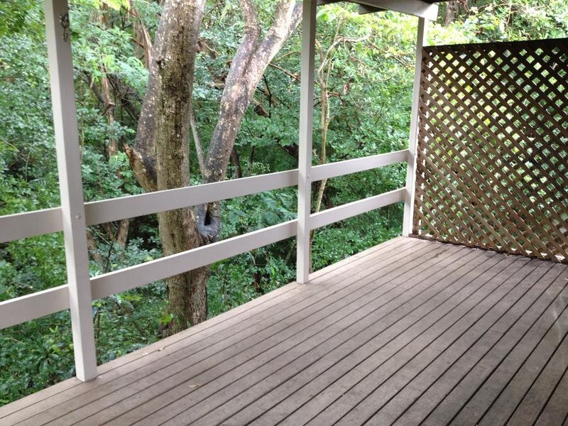 43 Newcomen Street, Indooroopilly QLD 4068
