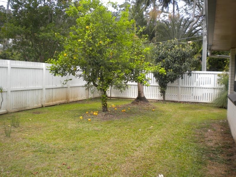 41 Dobell Street, Indooroopilly QLD 4068