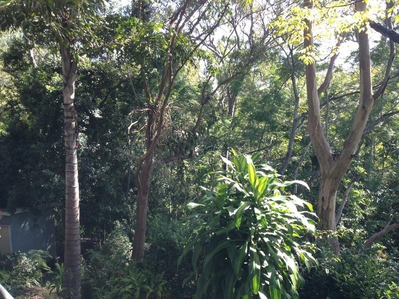 144 Jesmond Road, Indooroopilly QLD 4068