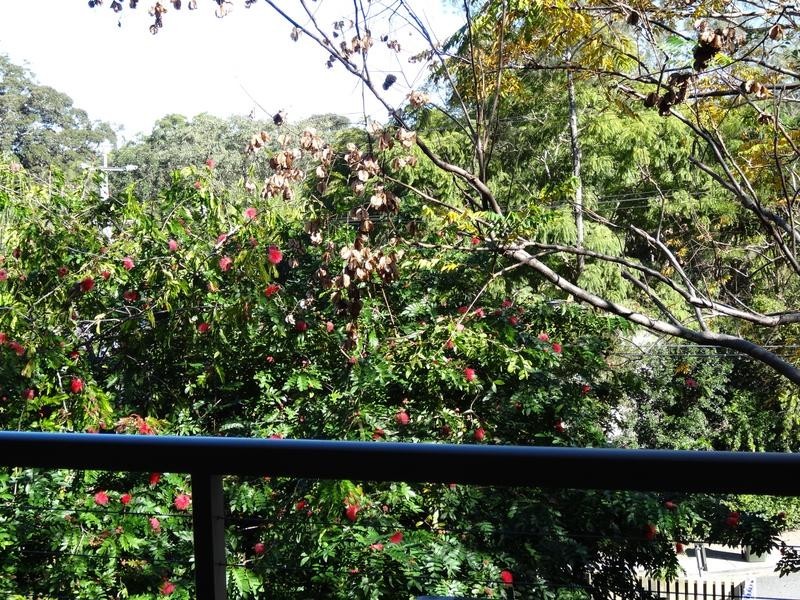 63 Dumbarton Drive, Kenmore QLD 4069