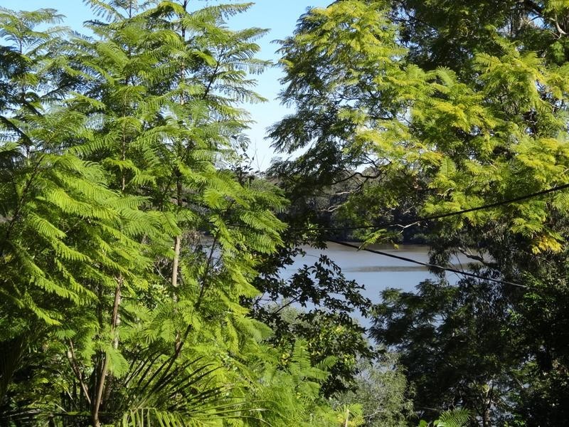 4/49 Riverview Terrace, Indooroopilly QLD 4068